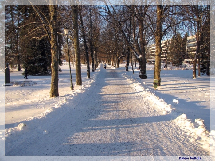 Kuukauden kuva - helmikuu 2019