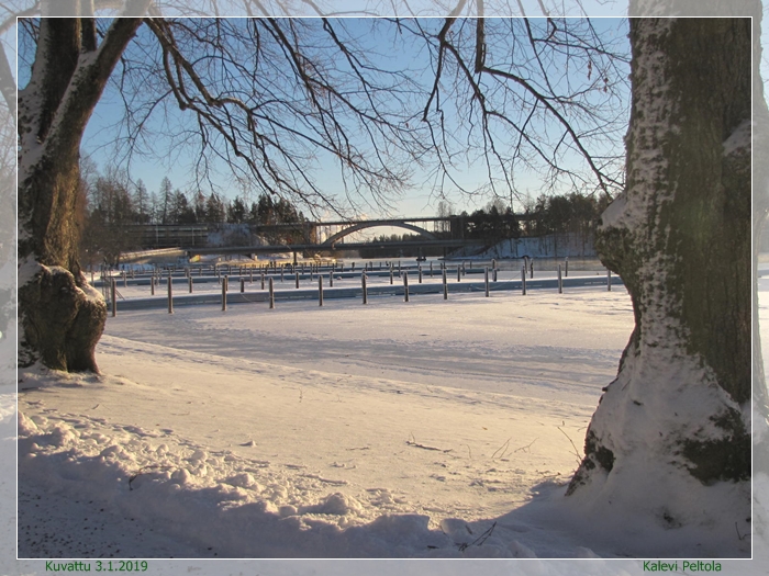 Kuukauden kuva - tammikuu 2019