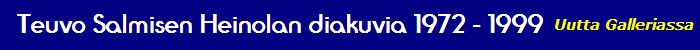 Teuvo Salmisen diakuvia 1972–1999