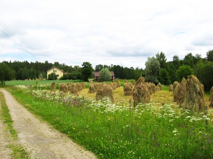 Hein&auml;t seip&auml;ill&auml;