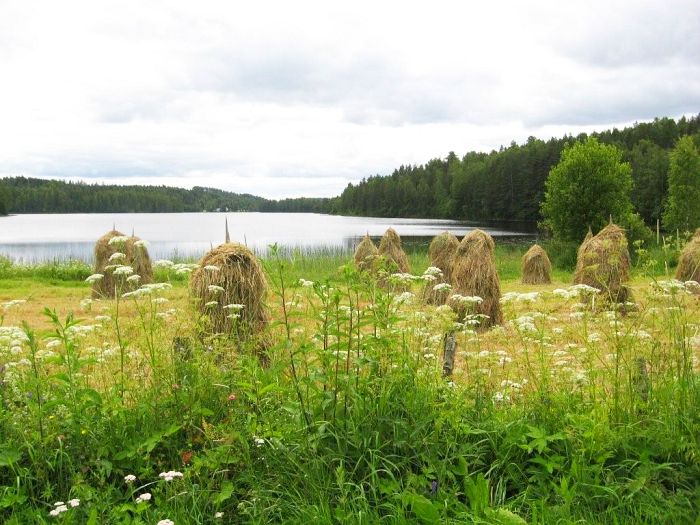 Hein&auml;t seip&auml;ill&auml;