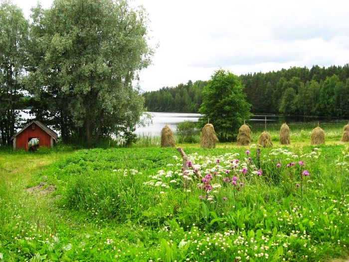 Hein&auml;t seip&auml;ill&auml;