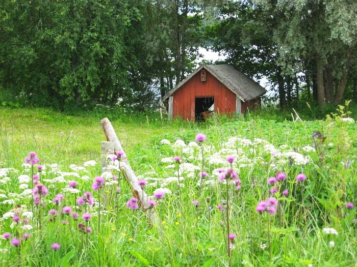 Hein&auml;t seip&auml;ill&auml;