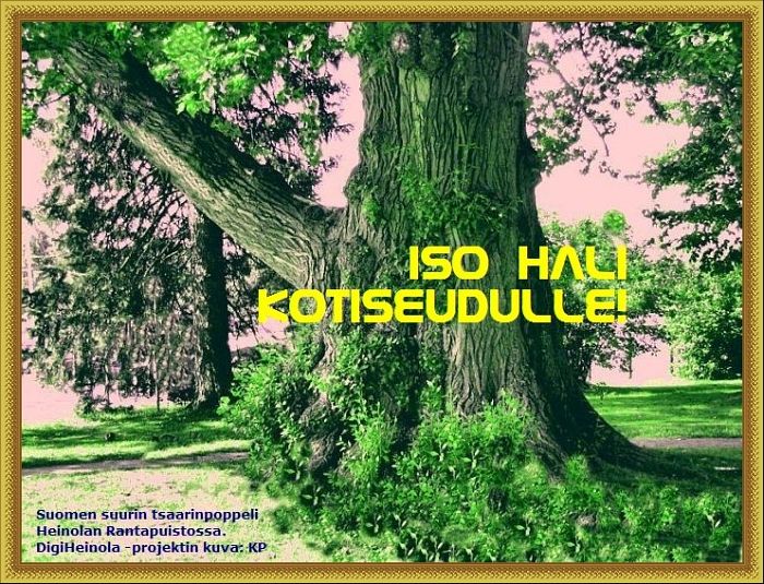 ISO HALI KOTISEUDULLE!